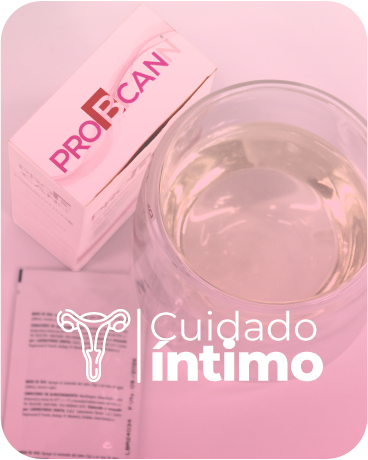 Intima
